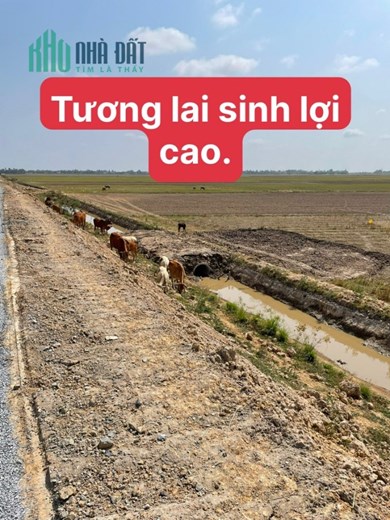 Bán đất ruộng đường nhựa, mặt lộ 5m + vỉa hè 2m Lộ 30 cũ, xã Bình Phú, Tân Hồng, Đồng Tháp
