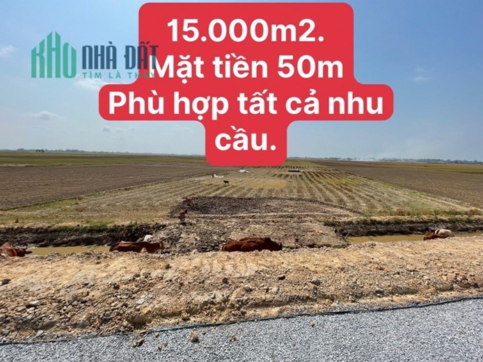 Bán đất ruộng đường nhựa, mặt lộ 5m + vỉa hè 2m Lộ 30 cũ, xã Bình Phú, Tân Hồng, Đồng Tháp