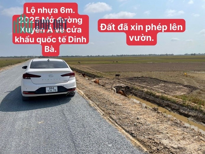 Bán đất ruộng đường nhựa, mặt lộ 5m + vỉa hè 2m Lộ 30 cũ, xã Bình Phú, Tân Hồng, Đồng Tháp