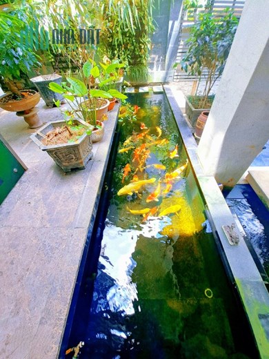 Bán Gấp! Biệt Thự Quận Hoàng Mai, Phố Nguyễn Duy Trinh, 256m x 5T, Giá 68 tỷ.