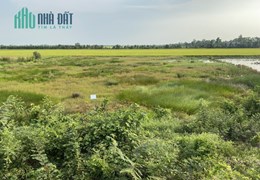 CẦN BÁN LÔ ĐẤT 50M MẶT TIỀN TẠI QUỐC LỘ N2 THUỘC XÃ TÂN BÌNH - TÂN THẠNH - LONG AN