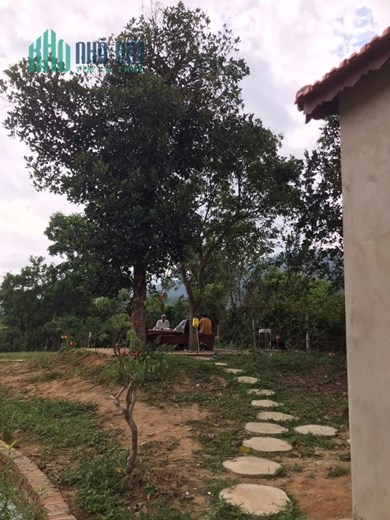 CHÍNH CHỦ BÁN ĐẤT SỔ HỒNG TẠI XÃ BA, XÃ TƯ huyện ĐÔNG GIANG, QUẢNG NAM