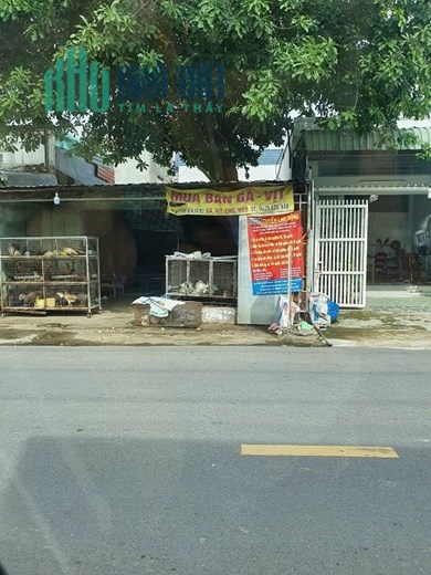 Chính chủ cần bán nhà cấp 4 vị trí đặc địa 2 mặt tiền đường Trần Văn Chẩm
