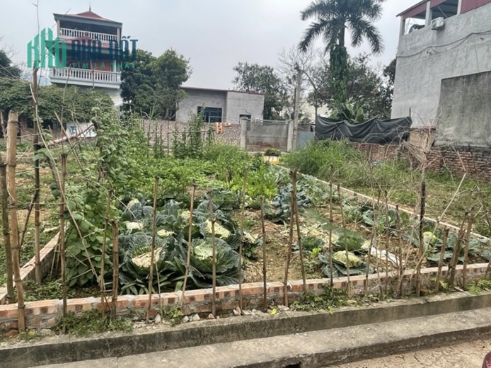 Chỉ 7xxtr(x nhỏ bé) bán 58m Ninh Môn - Hiền Ninh - Sóc Sơn hàng f1 cho anh em đầu tư.