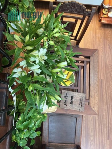 Bán Gấp Nhà 2 TẦNG Đẹp, dòng tiền, Mặt tiền Trung Tâm Sơn Trà, Mặt Tiền Đường An Trung 16,Chỉ 3ty99