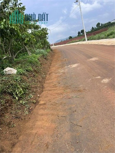 Bán 40 lô đất xã Lộc Ngãi đã phân lô, sổ đỏ chính chủ, mỗi sổ 100m2 thổ cư