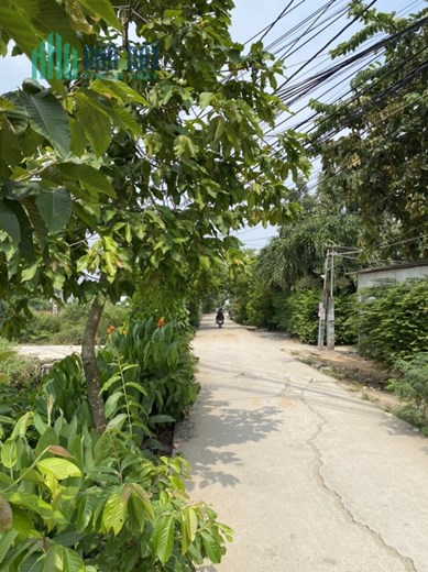 Bán 80m2 thổ cư MT đường tập đoàn 4 Cần Giuộc, Long An, SHR, 2.15 tỷ. Lh:0908812639
