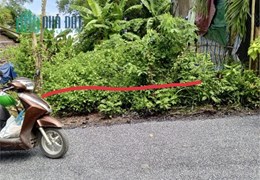 SỞ HỮU NGAY LÔ ĐẤT ĐẸP – GIÁ TỐT TẠI huyện Trà Cú, tỉnh Trà Vinh
