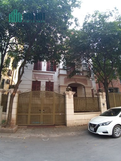 Cho thuê biệt thự Cầu Giấy, 300m3 4 tầng làm nhà hàng, bi-a, trường học