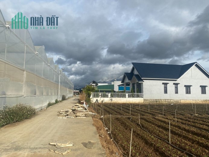 ✅ ✅ Lô đất ngay trung tâm Thạnh Mỹ, Đơn Dương, Lâm Đồng