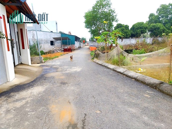 NHỈNH HƠN TỶ CÓ NGAY 60M2 ĐẤT Ở BÌNH YÊN- GẦN ĐƯỜNG 420 VÀ ĐIỂM XE BUS - CHỈ VÀI PHÚT CHẠY XE LÀ