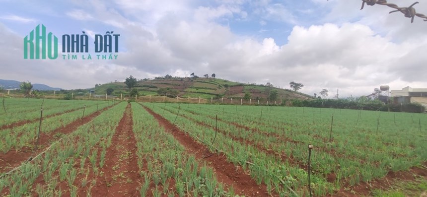 🔥 🔥 Cực sốc đất tại Đạ Ròn có view Tháp Kinh Luân Lớn Nhất Thế Giới 🔥 🔥