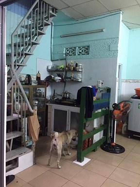 NHÀ ĐẸP - GIÁ TỐT - Cần Bán Căn Nhà Đẹp Tại TP Thủ Đức, HCM