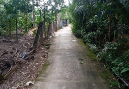 CHÍNH CHỦ Cần Bán Nhanh Lô Đất Vườn Tại Thị Trấn Giồng Trôm - Bến Tre