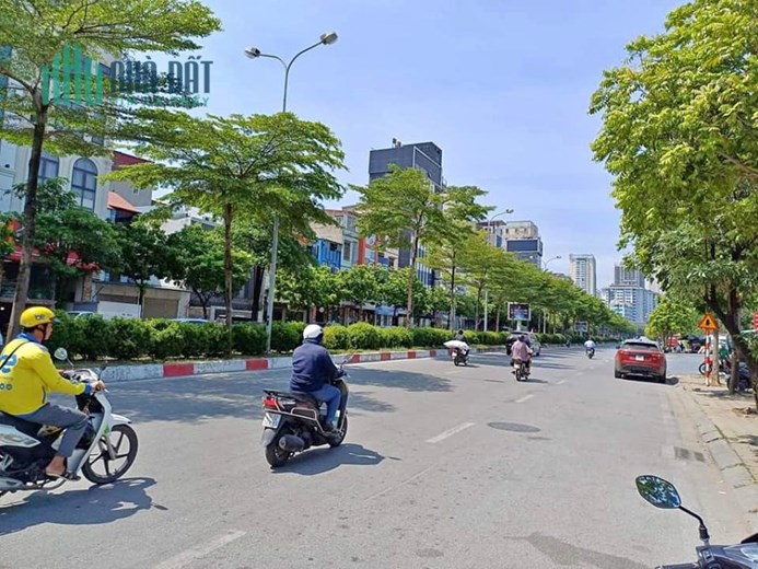 [ CỰC VIP] MP TRẦN VỸ MẶT TIỀN 7M, VỈA HÈ 8M, KD ĐẮC ĐỊA, CHỈ 16,2 TỶ.