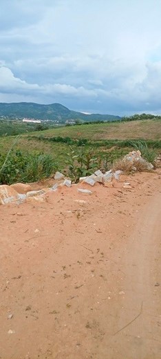 CHÍNH CHỦ CẦN BÁN LÔ ĐẤT ĐẸP MẦU MỠ