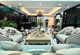 Biệt Thự 226 Bạch Đằng, Bình Thạnh: Đẳng Cấp và Thanh Lịch