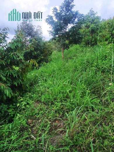 ĐẤT ĐẸP - GIÁ TỐT -  BÁN LÔ ĐẤT Vị Trí Đắc Địa Tại huyện Ehleo - Đắk Lắk