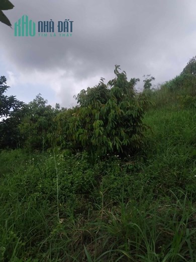 ĐẤT ĐẸP - GIÁ TỐT -  BÁN LÔ ĐẤT Vị Trí Đắc Địa Tại huyện Ehleo - Đắk Lắk