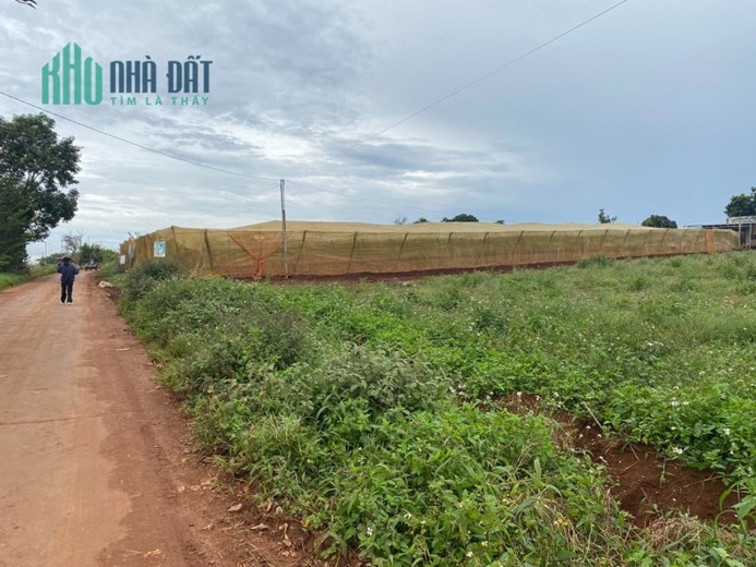 BÁN ĐẤT Ở SUỐI THÔNG B GIÁ MỀM CHO AI CÓ NHU CẦU
