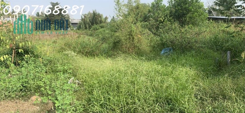 Đất mặt tiền Vị Thanh tỉnh Hậu Giang mặt lộ lớn  nhất Hậu Giang 24m