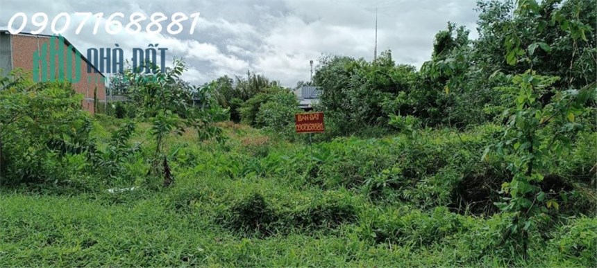 Đất mặt tiền Vị Thanh tỉnh Hậu Giang mặt lộ lớn  nhất Hậu Giang 24m