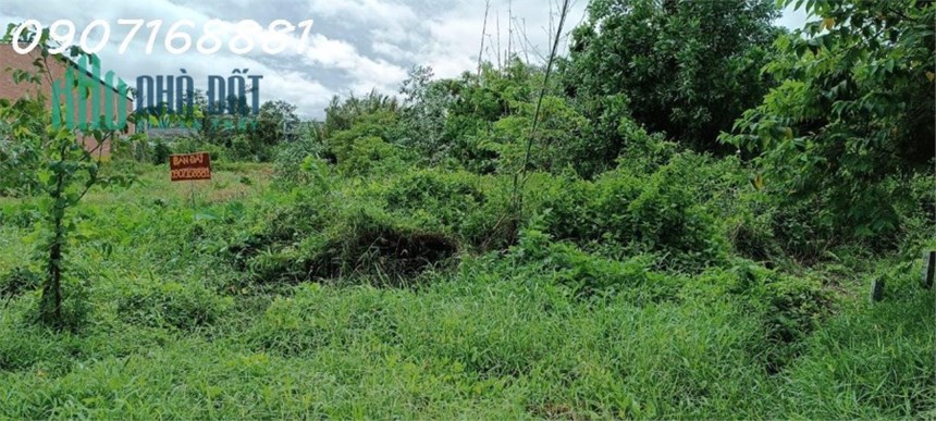 Đất mặt tiền Vị Thanh tỉnh Hậu Giang mặt lộ lớn  nhất Hậu Giang 24m