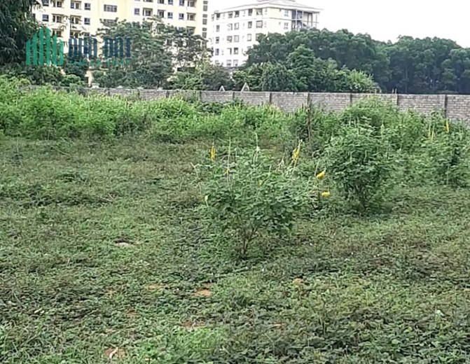 Bán Đất Chính Chủ Nhà vườn, Nghỉ dưỡng,  View Sông