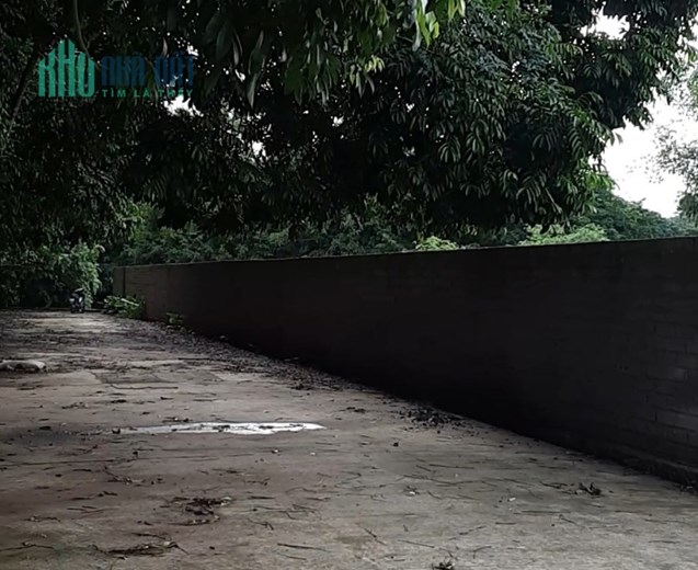 Bán Đất Chính Chủ Nhà vườn, Nghỉ dưỡng,  View Sông
