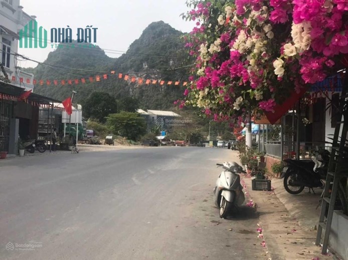 Cho thuê 200m2 đất mặt đường thị trấn Cát Bà, Hải Phòng