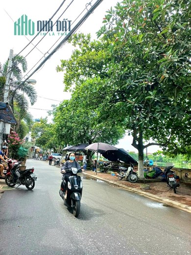 Bán đất Yên Duyên, Hoàng Mai, ngõ thông Gamuda, gần hồ thoáng mát 57 m2, 5 tỷ 500