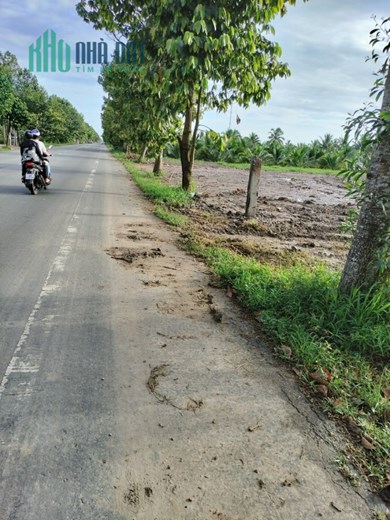 ĐẤT ĐẸP - MẶT TIỀN - Cần Bán Nhanh 3 Lô Đất Tại Bình Thành, Giồng Trôm, Bến Tre