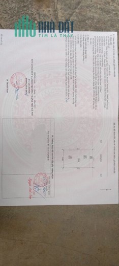 MẶT ĐƯỜNG TRỤC CHÍNH XUÂN LINH THUỶ XUÂN TIÊN - KINH DOANH - hiệu quả ổn định 
- diện tích 205m đã