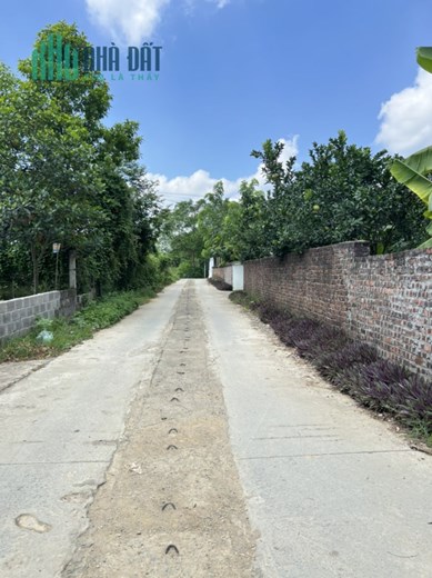 lô góc diện tích vừa xinh Xuân linh - Thuỷ Xuân tiên chương Mỹ chỉ vài triệu /m
- diện tích 129m lô