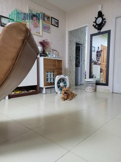 Cần bán căn hộ full nội thất view đẹp tại trung tâm Biên Hoà