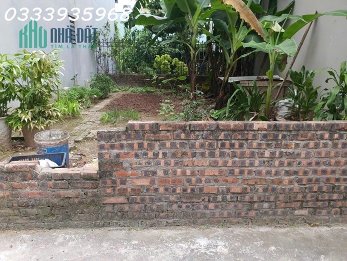 CẦN BÁN GẤP ĐẤT ĐẦU TƯ CỔ BI ĐƯỜNG OTO TRÁNH 202M-12 TỶ
