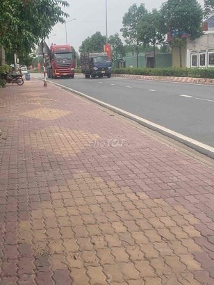 Chính chủ bán đất tại Thanh Tuyền, Dầu Tiếng, Bình Dương.