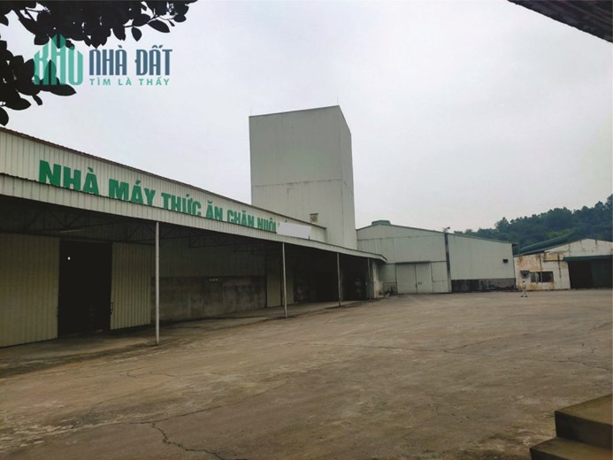 CHUYỂN NHƯỢNG NHÀ MÁY SX THỨC ĂN CHĂN NUÔI TẠI HÒA BÌNH
