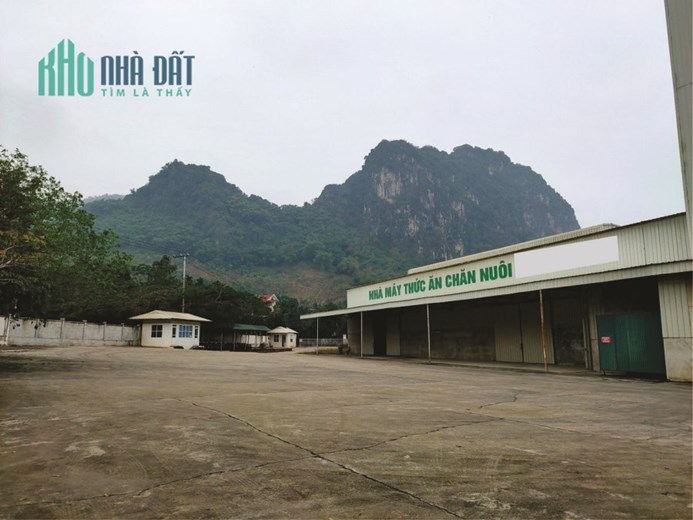 CHUYỂN NHƯỢNG NHÀ MÁY SX THỨC ĂN CHĂN NUÔI TẠI HÒA BÌNH