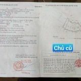 BÁN ĐẤT TẶNG NHÀ CẤP 4 NGUYỄN VĂN LUÔNG - PHƯỜNG 12 - QUẬN 6 - TP HỒ CHÍ MINH