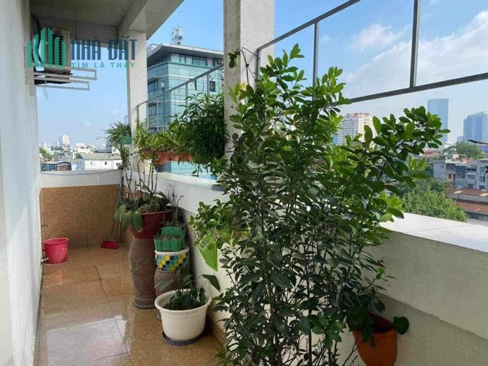 ⚜️ Bán nhà Mặt phố Vũ Ngọc Phan, 8 Tầng Lô góc 4 Thoáng, 100m2 MT 11m, Chỉ 49 Tỷ ⚜️