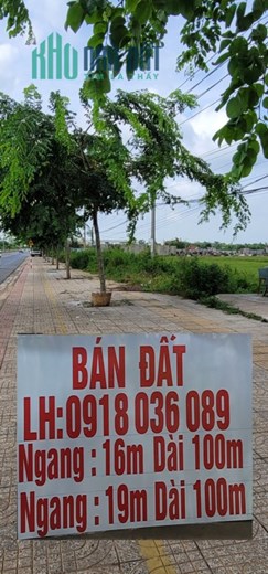 Chính chủ cần bán nhanh 4 lô đất kế TTTM Xuyên Mộc, Ngay  Phước Bửu, Xuyên Mộc, Bà Rịa Vũng Tàu