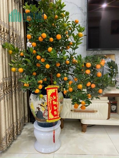 CHÍNH CHỦ BÁN NHÀ Hiện Đại -   Sổ Hồng Riêng Tại Đông Phong- Nam Hải