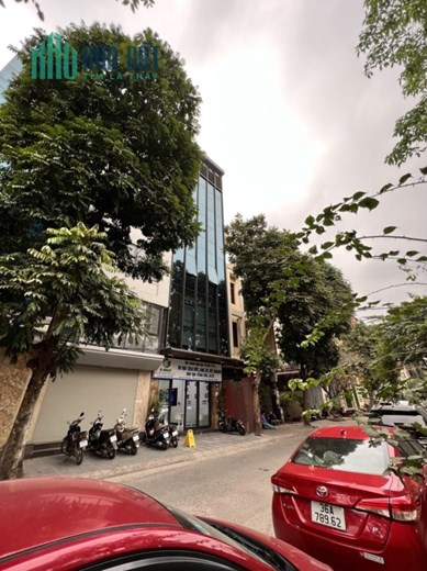 Bán nhà quận ủy Đống Đa, kết nối Hoàng Cầu, 75m2, 4 tầng, phân lô, ô tô, 15 tỷ nhỉnh