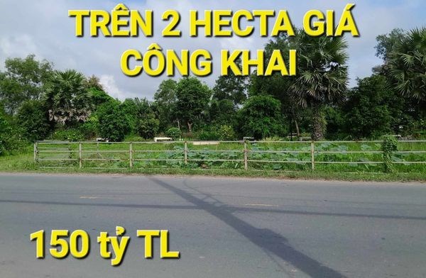 Chuyển Nhượng 2 Hecta Đất 150 tỷ Mặt tiền Võ Văn Bích Củ Chi TPHCM