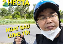 Chuyển Nhượng 2 Hecta Đất 150 tỷ Mặt tiền Võ Văn Bích Củ Chi TPHCM