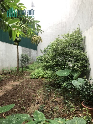 Bán đất Đông Dư, gần Ô tô, 38 m2, mặt tiền 3,8 m, giá chỉ hơn 1 tỷ.
