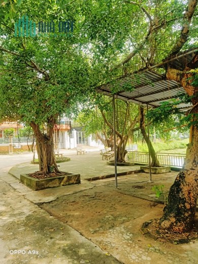 Diện tích 12×21 full thổ cư 
 Mua đất tặng nhà cao tầng và 1 quán bán tạp hóa nhỏ. Đường rộng rãi,