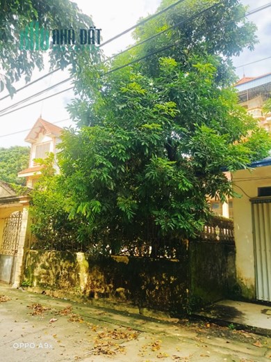 Diện tích 12×21 full thổ cư 
 Mua đất tặng nhà cao tầng và 1 quán bán tạp hóa nhỏ. Đường rộng rãi,