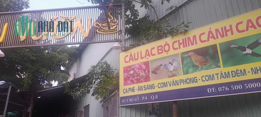 SANG NHƯỢNG QUÁN CAFE - CHIM - CƠM BÌNH DÂN ĐỊA CHỈ 45 CAO LỖ, PHƯỜNG 4, QUẬN 8, THÀNH PHỐ HỒ CHÍ